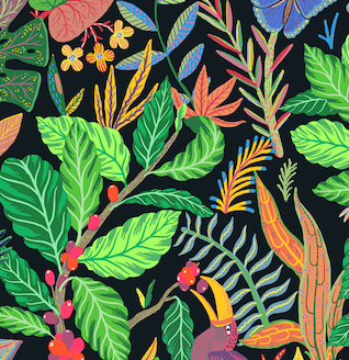 Coffee farm2