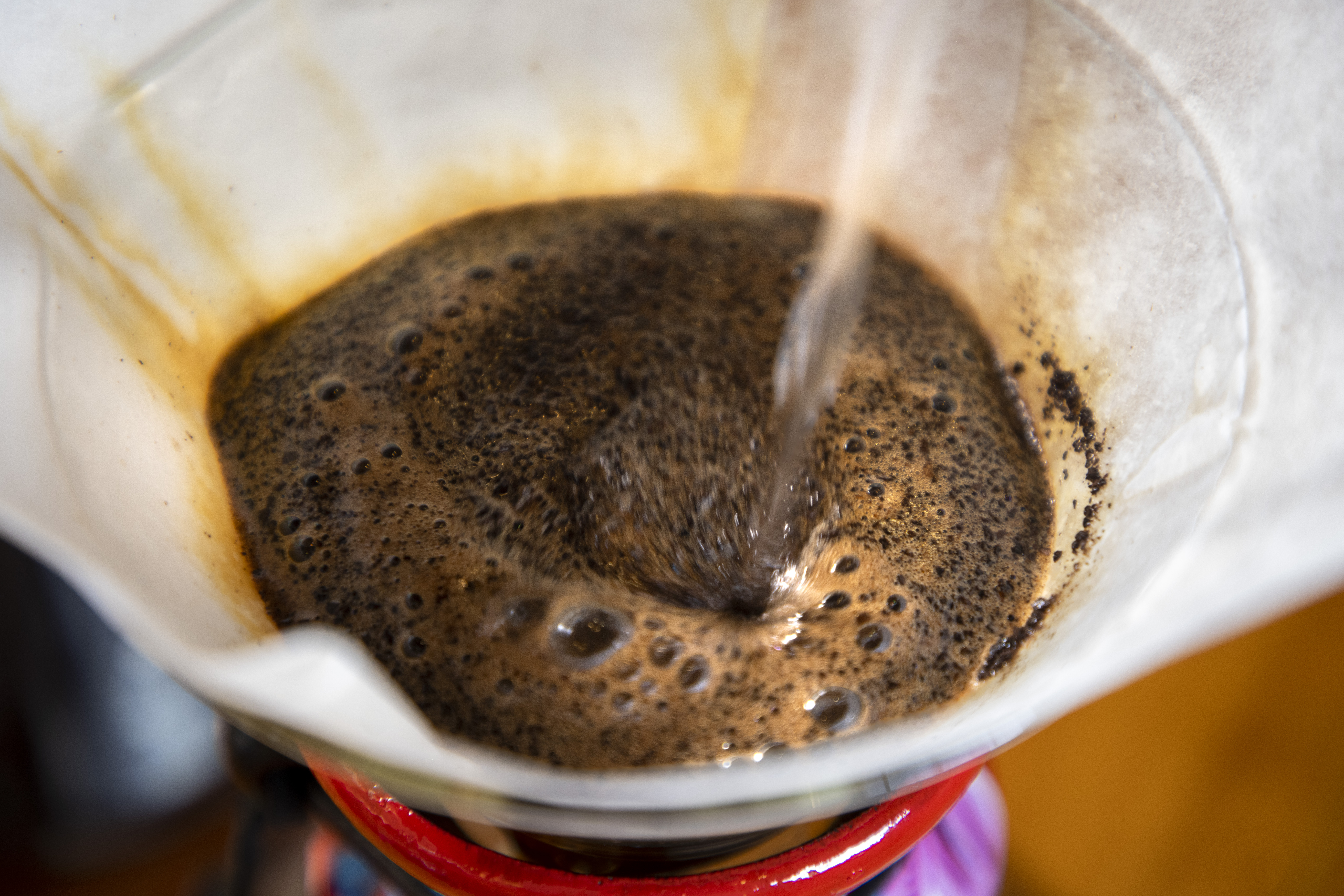 Coffee farm2